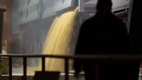 Unloading grain trucks at elevator on elevating hydraulic platform unloader at Video stock 90909789