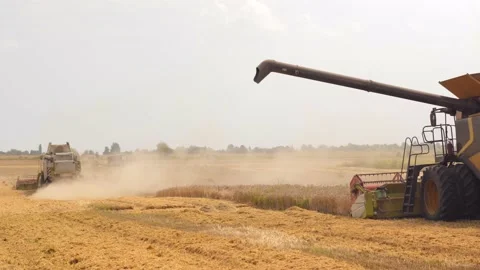 Unloading grains into truck by unloading auger. Combine harvesters cuts and Stock Footage 147458854