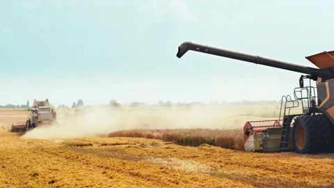 Unloading grains into truck by unloading auger. Combine harvesters cuts and Stock Footage 157283410