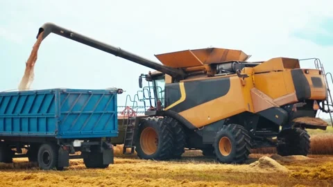 Unloading grains into truck by unloading auger. Combine harvesters cuts and Stock Footage 157285251