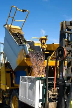 Unloading grapes Stock Photos