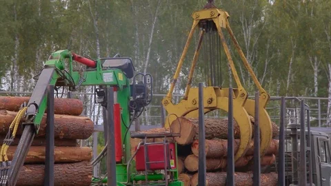 Unloading a log truck with a crane, unlo... | Stock Video | Pond5