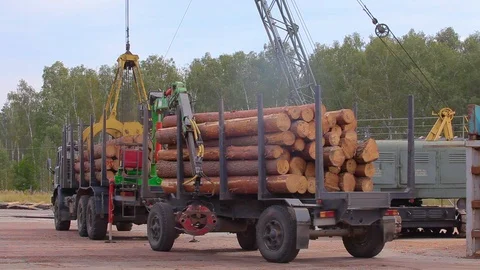 Unloading a log truck with a crane, unloading logs at a sawmill, workflow at a Stock Footage 111274773