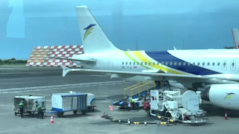 Unloading luggage and cargo containers. Stock Footage 320810618