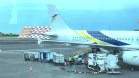 Unloading luggage and cargo containers. Stock Footage 320810625