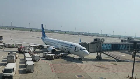 Unloading luggages Stock Footage 324599776