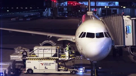 Unloading the plane at the night airport Stock Footage 314062253