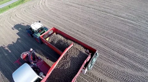 Unloading potatoes from raper to tractor Stock Footage 60698310