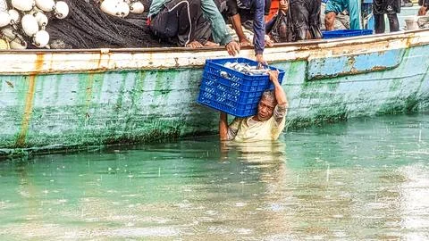 The Unloading Process of Fresh Sea Fish from Fishing Boat Stock Photos