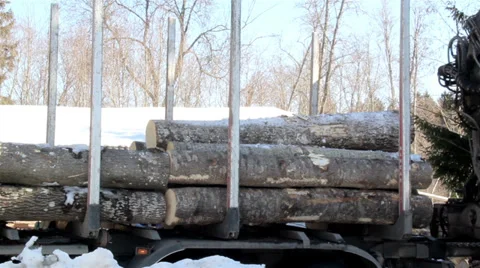 Unloading smaller logs by threes Stock Footage