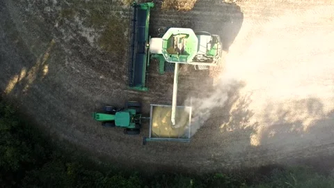 Unloading Soybeans Stock Footage 250616175