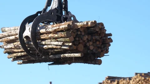 Unloading timber from a logging truck into stacks Stockbeeldmateriaal 294054746