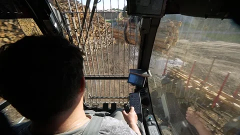 Unloading timber into a stack. View from the cabin of a timber loader Stockbeeldmateriaal 294058033