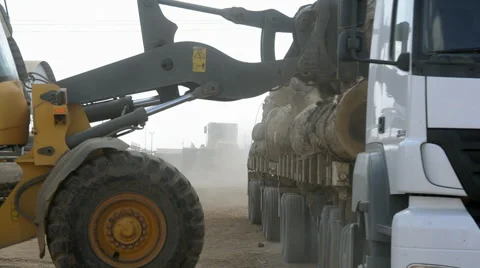 Unloading tree trunk Stock Footage 52529853
