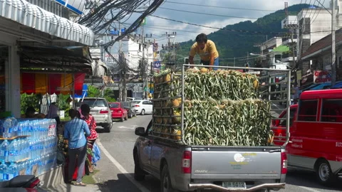 Unloading truck full of pineapples Stock Footage 171425409