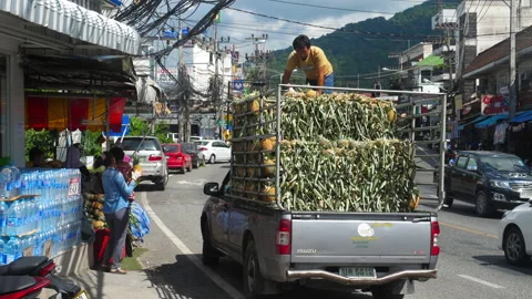 Unloading truck of pineapples Video stock 171257437