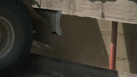 Unloading wheat grain from a car at an elevator 스톡 동영상 166946995