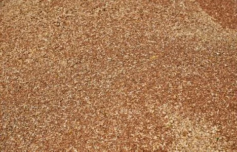 Unloading wheat grain Stock Photos