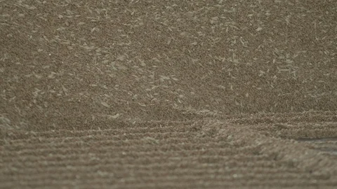 Unloading wheat into mill Stock Footage 125040384