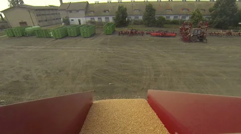 Unloading wheat  out of of combine into a tractor trailer Stock Footage 55255414