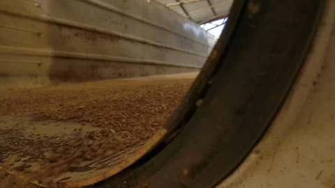 Unloading wheat into the silo or mill Stock Footage 124966028