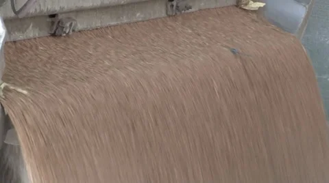 Unloading wheat in silos Vidéo 36790506