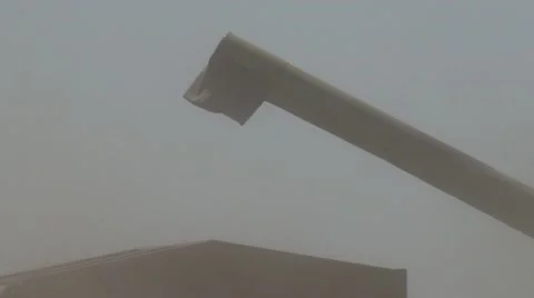 Unloading wheat through the dust Stock Footage 56031182