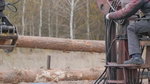 Unloading of wood with a front loader. Building timber. Stock Footage 142162763