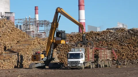 Unloading wood into stacks. Logging. 스톡 동영상 293682136