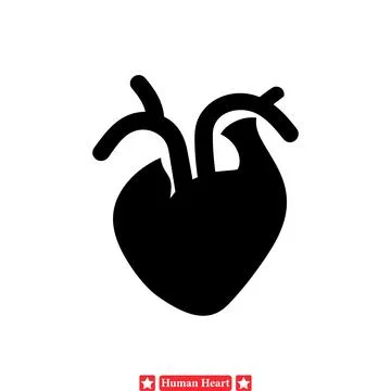 Unlocking Cardiac Knowledge  Human Heart Vector Silhouette Set Designed for.. Stock Illustration