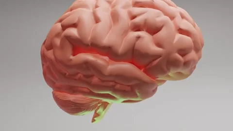 Unlocking the Power of the Mind Brain Stock Footage 266134050