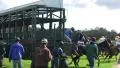 Unlucky Horse Racing start - horse runs without jockey HD Footage