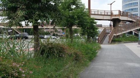 An unmaintained roadside green space filled with wild weeds in Nagoya, Japan Vídeos de archivo 335964871