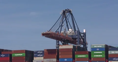 Unmanned automated stacking cranes at  ECT Euromax Container Terminal Stock Footage 115715727