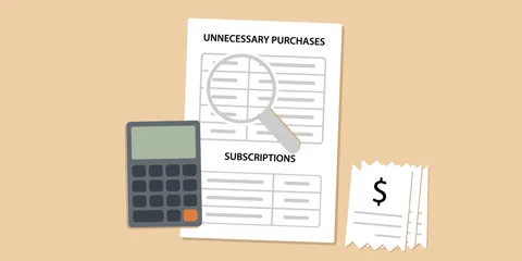 Unnecessary Spending Analysis Animation Stock Footage 337517855