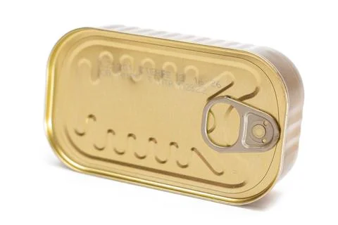 Unopened Rectangular Tin Can Isolated on White Stock Photos