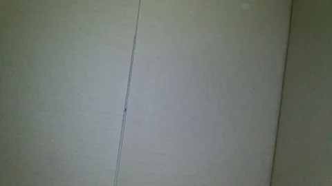 Unpacking postal package. A view from inside the box out. Stock Footage 71408993