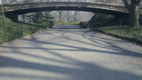 Unpaved Path Leads Under Bridge in Urban Park Stock Footage 89302687