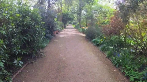 Unpaved path winding through a lush green urban park Stock Footage 321759291