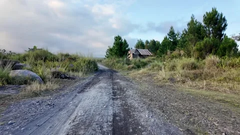Unpaved path winds through tall grass and trees Vidéo 345153964