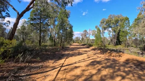 Unpaved Red Dirt Road Through Pilliga Scrub Outback Forest Vidéo 345012525