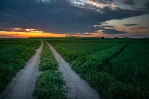 Unpaved road through green fields and sunset Stock-Fotos