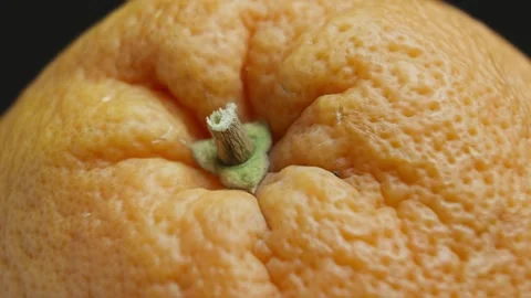 Unpeeled grapefruit rotating at black background. Grapefruit peel texture. Vidéo 329436922