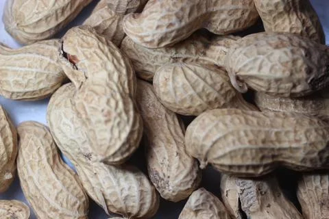 Unpeeled peanut with shells Stock Photos