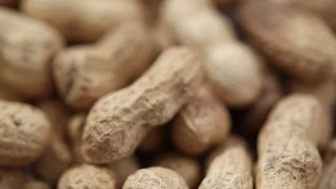 Unpeeled peanuts as background 스톡 동영상 100894629