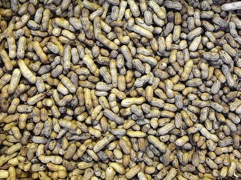 Unpeeled peanuts, top view. Stock Photos