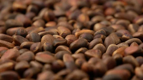 Unpeeled pine nuts, side view. Stock Footage 144925647