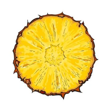 Unpeeled round pineapple slice, top view, sketch style vector illustration 스톡 일러스트