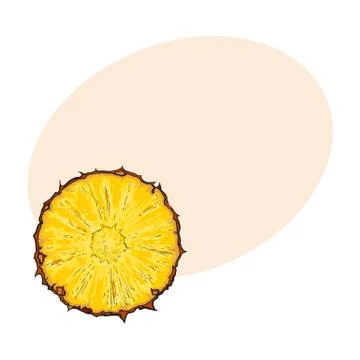 Unpeeled round pineapple slice, top view, sketch style vector illustration 스톡 일러스트