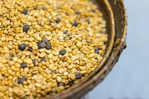 Unprocessed coffee beans put in a basket on a white background. Stock Photos